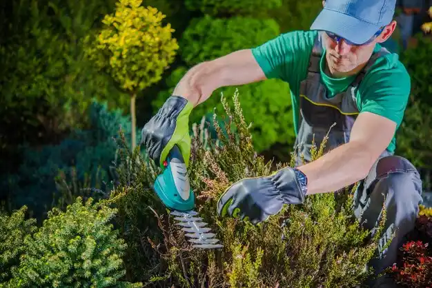 landscaping services Earlville